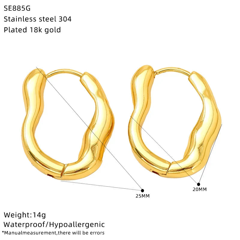 Cross border fashion between Europe and America, cold and high-end, irregular design, trendy and cool, versatile titanium steel earrings, wholesale for women