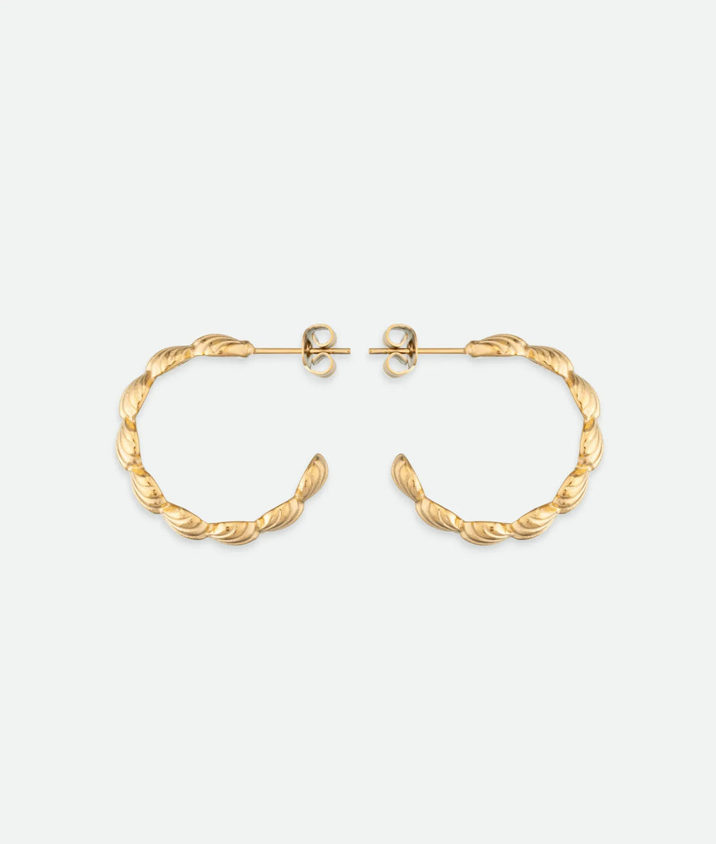Shell Hoop Earrings