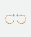 Shell Hoop Earrings