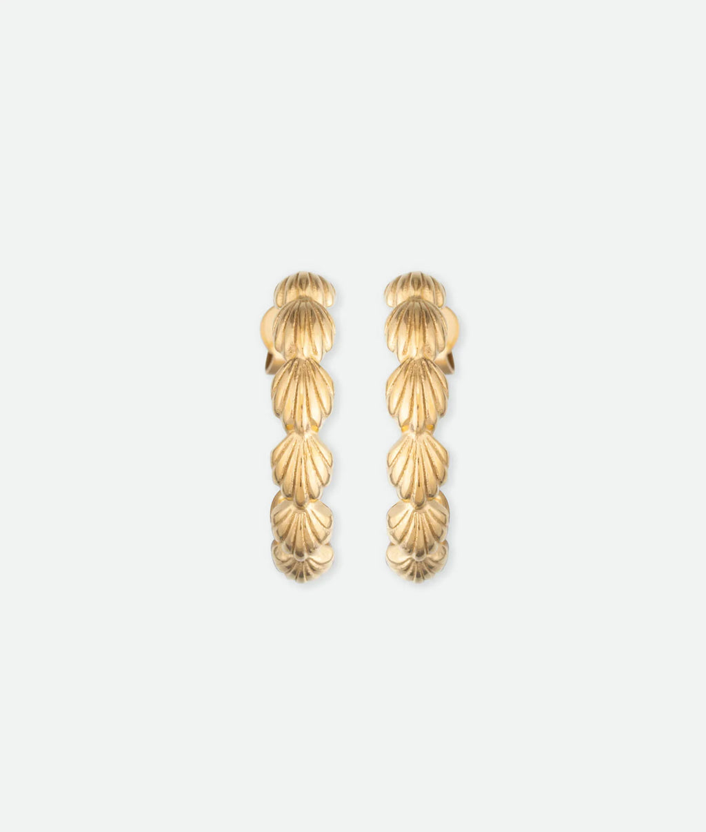 Shell Hoop Earrings